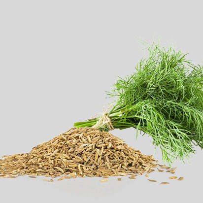 kraeutersamen bubblenavibild